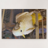 Puzzle Bella boy (Horizontal)