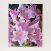 Puzzle Belle Belladonna Amaryllis Rose (Vertical)