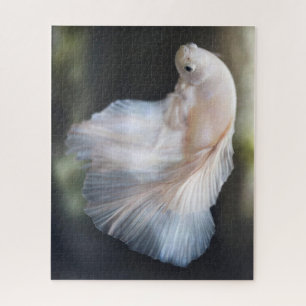 Puzzle Belle Betta blanche Siamese Lutter Poisson