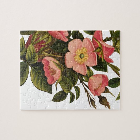 Puzzle Belle Botanique rose Rose vintage (Horizontal)