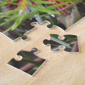 Puzzle Belle brosse à bouteilles australienne rose foncé (Côté)