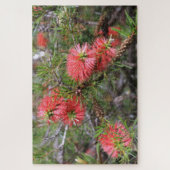 Puzzle Belle brosse à bouteilles australienne rose foncé (Vertical)