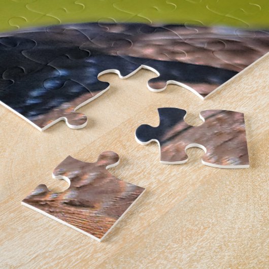 Puzzle Belle Buse à queue rousse (Côté)