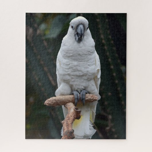 Puzzle Belle cacatolie blanche (Vertical)