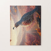 Puzzle Belle Californie Quail Bird Faune Nature (Vertical)