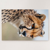 Puzzle Belle Cheetah (Horizontal)