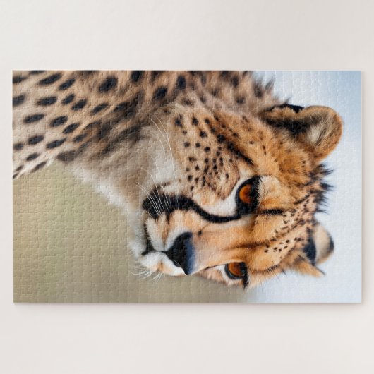 Puzzle Belle Cheetah (Horizontal)