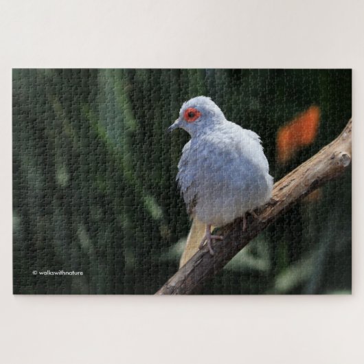 Puzzle Belle colombe Diamond dans les projecteurs (Horizontal)