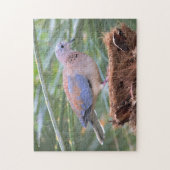 Puzzle Belle colombe sénégalaise sur une souche d'arbre (Vertical)