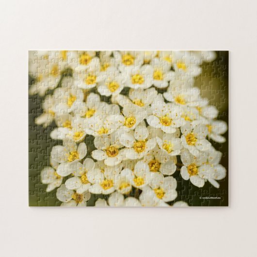 Puzzle Belle couronne nuptiale Spiraea (Horizontal)