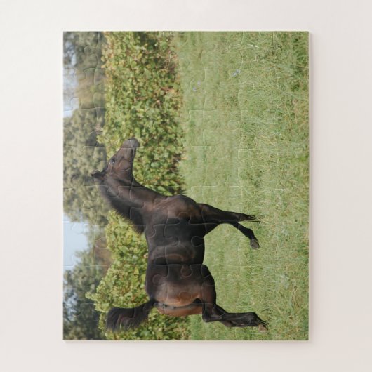 Puzzle Belle course de chevaux dans un champ (Vertical)