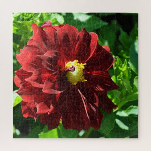 Puzzle Belle dahlia rouge (Vertical)