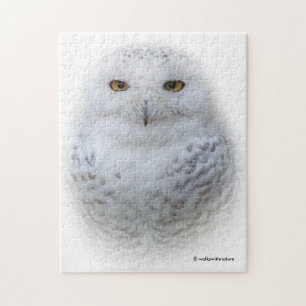 Puzzle Belle, Dreamy et Serene Snowy Owl