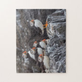 Puzzle Belle faune Oiseaux de macareux de l'océan (Vertical)