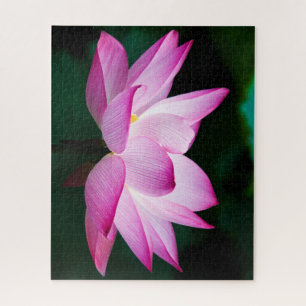 Puzzle Belle Fleur de Lotus Rose