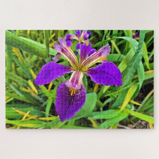 Puzzle Belle fleur d'iris violet en fleur (Horizontal)
