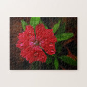 Puzzle Belle Fleur Rouge Dianthus Avec Raindrops Photo (Horizontal)
