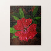Puzzle Belle Fleur Rouge Dianthus Avec Raindrops Photo (Vertical)