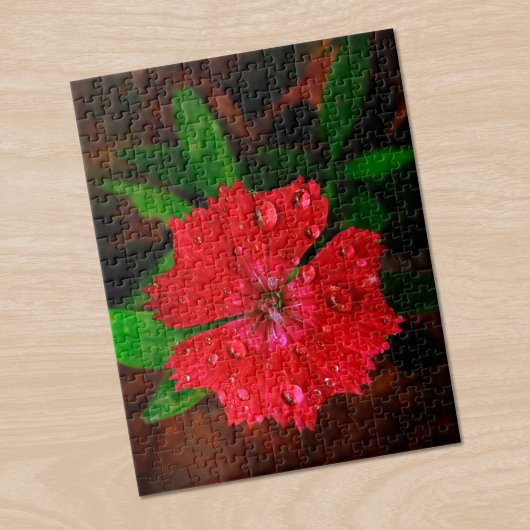 Puzzle Belle Fleur Rouge Dianthus Avec Raindrops Photo