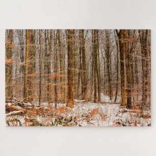 Puzzle Belle forêt d'hiver avec la neige