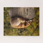 Puzzle Belle Fox dormant sur une souche d'arbre (Horizontal)