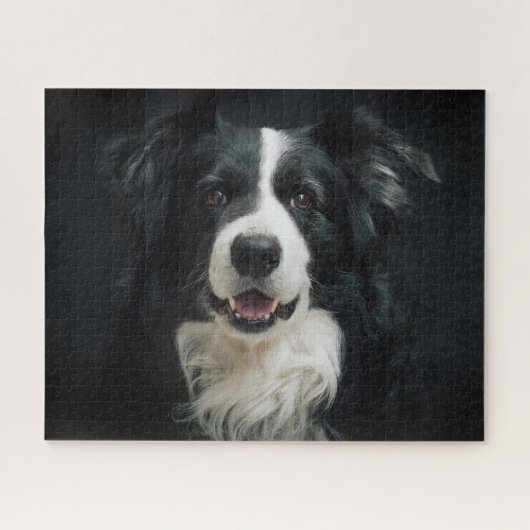 Puzzle Belle frontière noire blanche Collie Chien Photo (Horizontal)