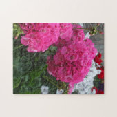 Puzzle Belle Geraniums rouges (Horizontal)