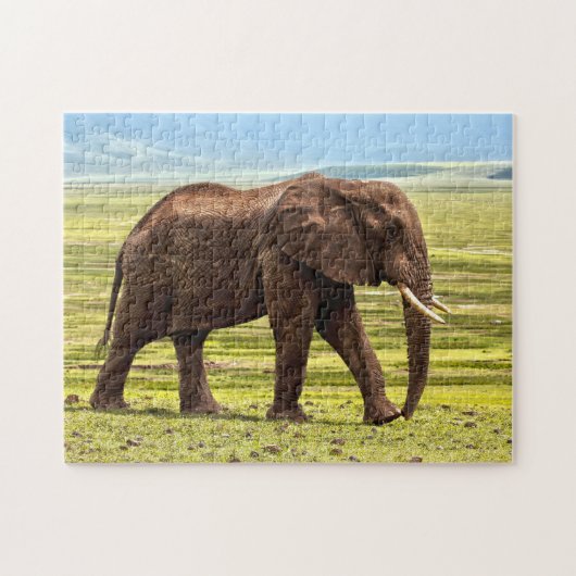 Puzzle Belle grande photo d'éléphant (Horizontal)