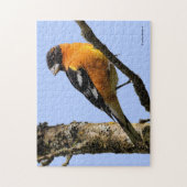 Puzzle Belle grêle à tête noire dans un arbre (Vertical)