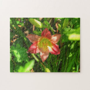 Puzzle Belle Lily