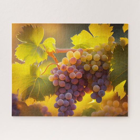 Puzzle Belle lumière du soleil sur les raisins de vignobl (Horizontal)