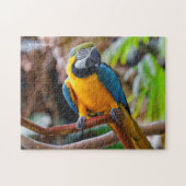 Puzzle Belle Macaw Bleue et Or (Horizontal)