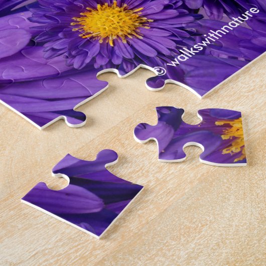 Puzzle Belle marguerite violette Michaelmas (Côté)