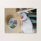 Puzzle Belle Mignonne Chiot Blanc Caché Sous Chaise (Horizontal)