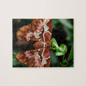 Puzzle Belle Moth Atlas (Horizontal)