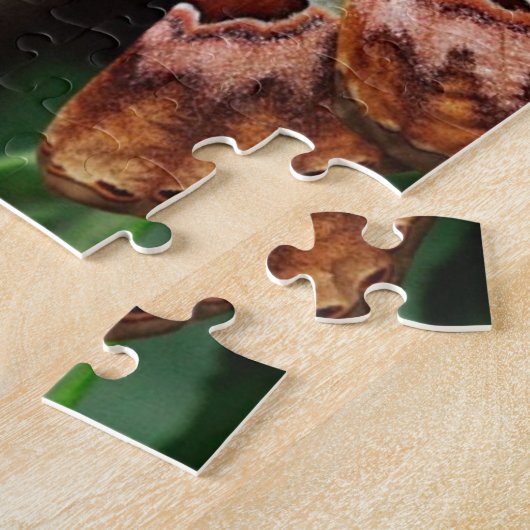 Puzzle Belle Moth Atlas (Côté)