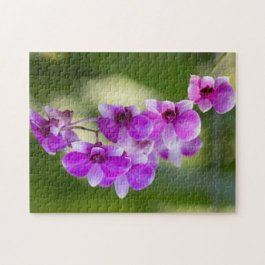 Puzzle Belle Orchidée violette (Horizontal)