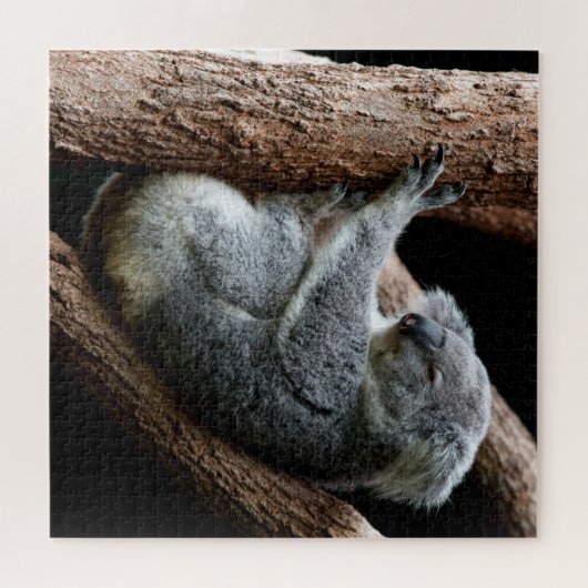 Puzzle Belle ours Koala dans un arbre (Horizontal)