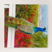 Puzzle Belle Peacock Vert Bleu Photo Stylish Chic (Horizontal)