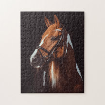 Belle peinture Brown Cheval Portrait Photo