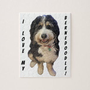 Puzzle Belle photo de Birdie le chien Bernedoodle