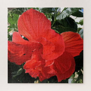 Puzzle Belle photo de fleur d'hibiscus orange