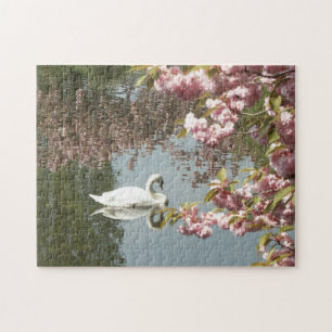 Puzzle Belle photo de la nature du cygne