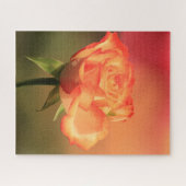 Puzzle Belle photo de Rose romantique (Horizontal)