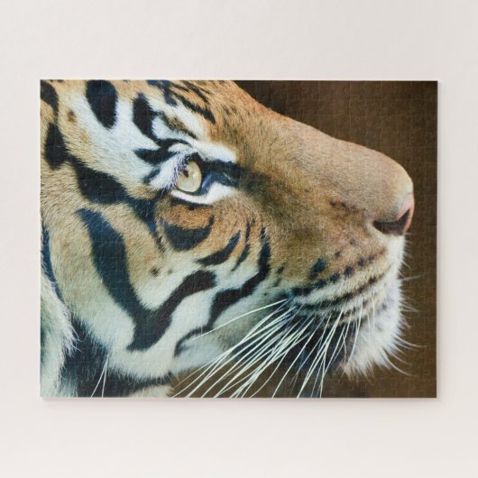 Puzzle Belle photo du visage de tigre (Horizontal)