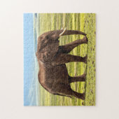 Puzzle Belle photo grand éléphant (Vertical)