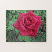 Puzzle Belle Rose rouge avec Raindrops (Horizontal)