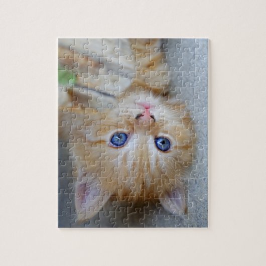 Puzzle Belle Tabby Kitten Orange (Vertical)