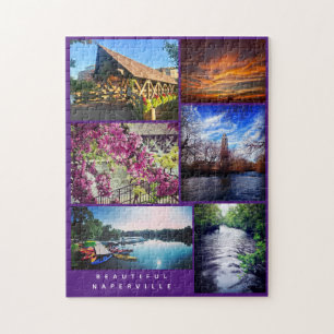 Puzzle Belle ville de Naperville - Scènes autour de la v
