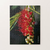 Puzzle Belles fleurs de brosse rouge (Vertical)